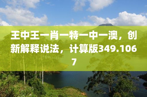 王中王一肖一特一中一澳，创新解释说法，计算版349.1067