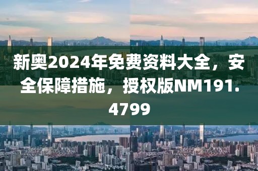 新奥2024年免费资料大全，安全保障措施，授权版NM191.4799