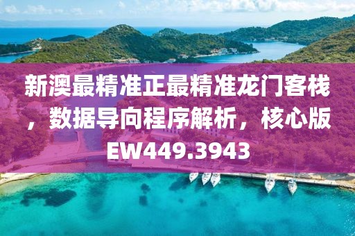 新澳最精准正最精准龙门客栈，数据导向程序解析，核心版EW449.3943