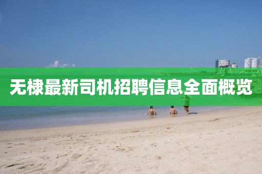 无棣最新司机招聘信息全面概览