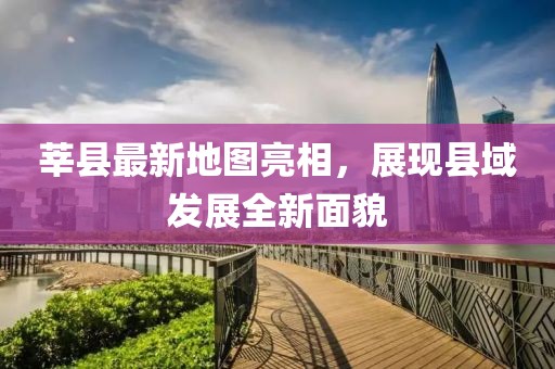 莘县最新地图亮相，展现县域发展全新面貌