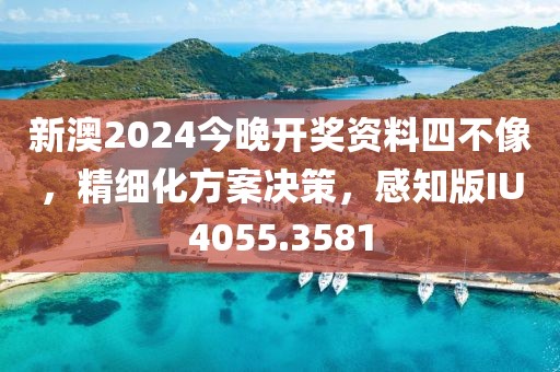 新澳2024今晚开奖资料四不像，精细化方案决策，感知版IU4055.3581