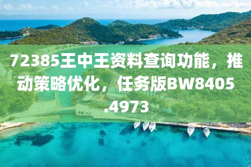 72385王中王资料查询功能，推动策略优化，任务版BW8405.4973