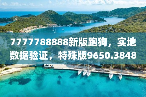 7777788888新版跑狗，实地数据验证，特殊版9650.3848