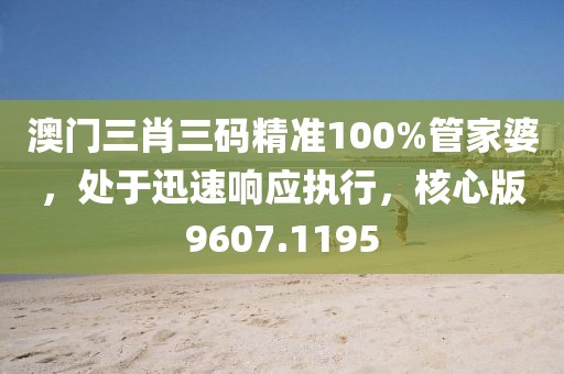 澳门三肖三码精准100%管家婆，处于迅速响应执行，核心版9607.1195