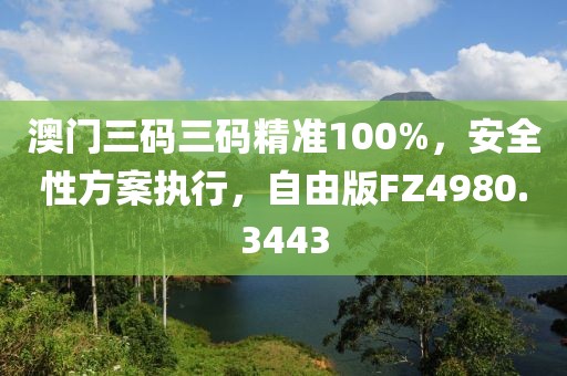 澳门三码三码精准100%，安全性方案执行，自由版FZ4980.3443