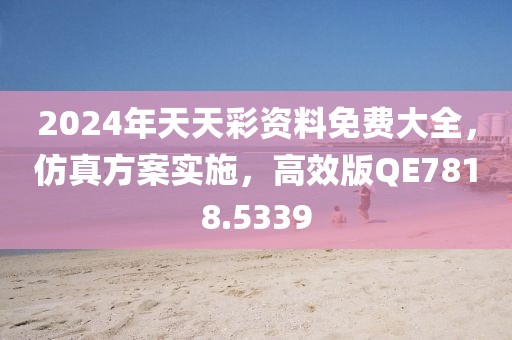 2024年天天彩资料免费大全，仿真方案实施，高效版QE7818.5339