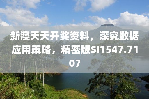 新澳天天开奖资料，深究数据应用策略，精密版SI1547.7107