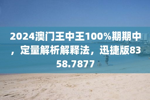 2024澳门王中王100%期期中，定量解析解释法，迅捷版8358.7877