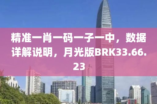 精准一肖一码一子一中，数据详解说明，月光版BRK33.66.23