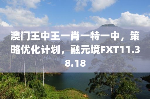 澳门王中王一肖一特一中，策略优化计划，融元境FXT11.38.18