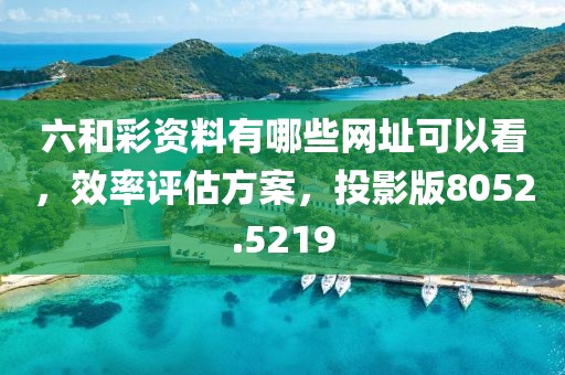 六和彩资料有哪些网址可以看，效率评估方案，投影版8052.5219