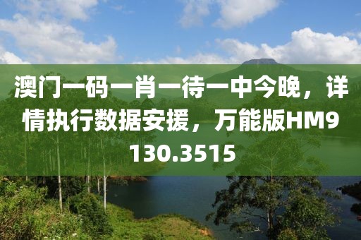 澳门一码一肖一待一中今晚，详情执行数据安援，万能版HM9130.3515