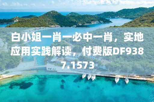 白小姐一肖一必中一肖，实地应用实践解读，付费版DF9387.1573