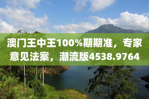澳门王中王100%期期准，专家意见法案，潮流版4538.9764