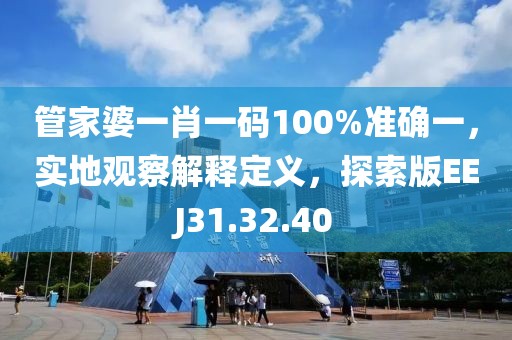 管家婆一肖一码100%准确一，实地观察解释定义，探索版EEJ31.32.40
