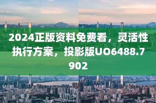 2024正版资料免费看，灵活性执行方案，投影版UO6488.7902