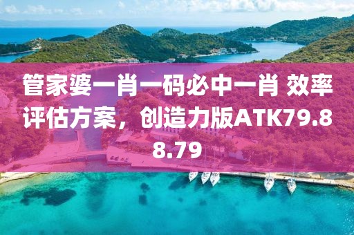 管家婆一肖一码必中一肖 效率评估方案，创造力版ATK79.88.79