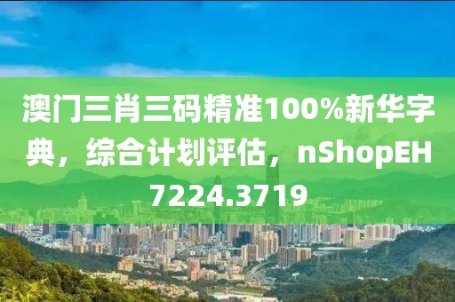 澳门三肖三码精准100%新华字典，综合计划评估，nShopEH7224.3719