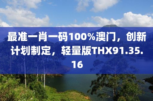 最准一肖一码100%澳门，创新计划制定，轻量版THX91.35.16