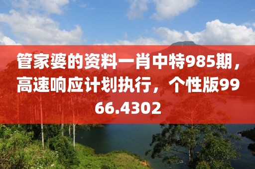管家婆的资料一肖中特985期，高速响应计划执行，个性版9966.4302