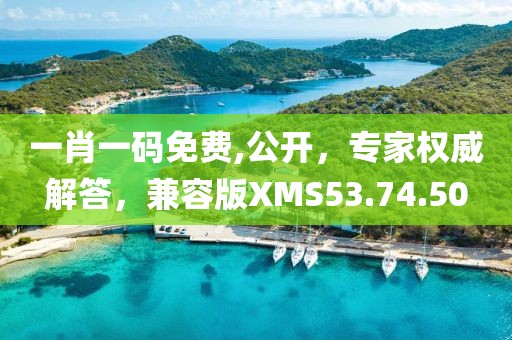 一肖一码免费,公开，专家权威解答，兼容版XMS53.74.50