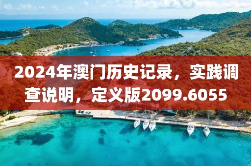 2024年澳门历史记录，实践调查说明，定义版2099.6055