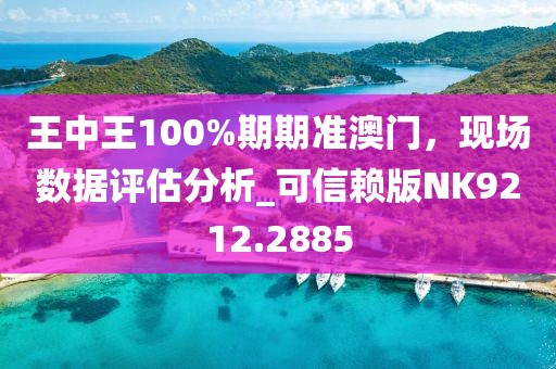 王中王100%期期准澳门，现场数据评估分析_可信赖版NK9212.2885