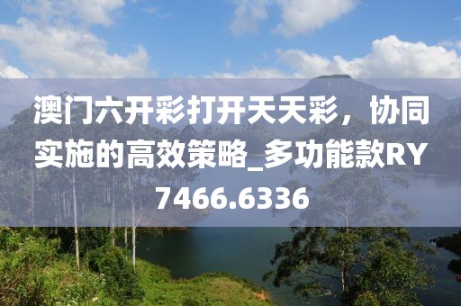 澳门六开彩打开天天彩，协同实施的高效策略_多功能款RY7466.6336