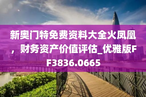新奥门特免费资料大全火凤凰，财务资产价值评估_优雅版FF3836.0665