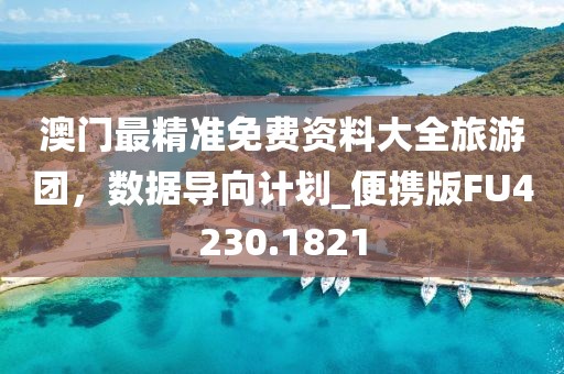 澳门最精准免费资料大全旅游团，数据导向计划_便携版FU4230.1821