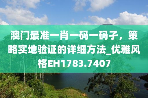 澳门最准一肖一码一码孑，策略实地验证的详细方法_优雅风格EH1783.7407