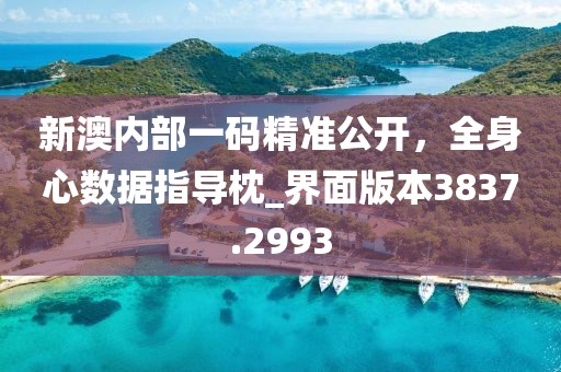 新澳内部一码精准公开，全身心数据指导枕_界面版本3837.2993