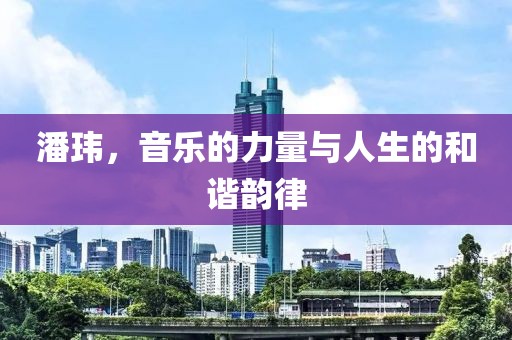潘玮，音乐的力量与人生的和谐韵律