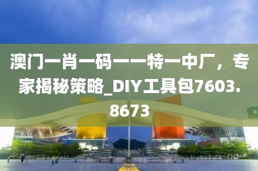 澳门一肖一码一一特一中厂，专家揭秘策略_DIY工具包7603.8673