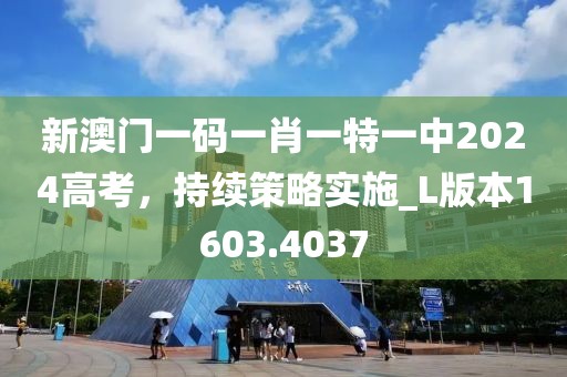 2024年11月 第256页