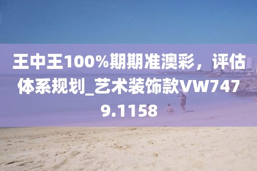 王中王100%期期准澳彩，评估体系规划_艺术装饰款VW7479.1158