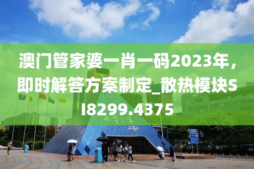 澳门管家婆一肖一码2023年，即时解答方案制定_散热模块SI8299.4375