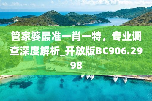 管家婆最准一肖一特，专业调查深度解析_开放版BC906.2998
