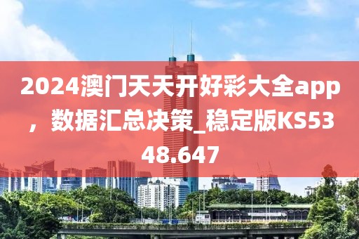 2024澳门天天开好彩大全app，数据汇总决策_稳定版KS5348.647