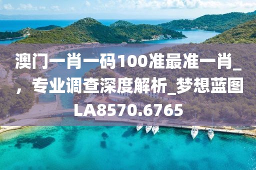 澳门一肖一码100准最准一肖_，专业调查深度解析_梦想蓝图LA8570.6765