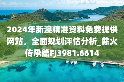 2024年新澳精准资料免费提供网站，全面规划评估分析_薪火传承篇FJ3981.6614