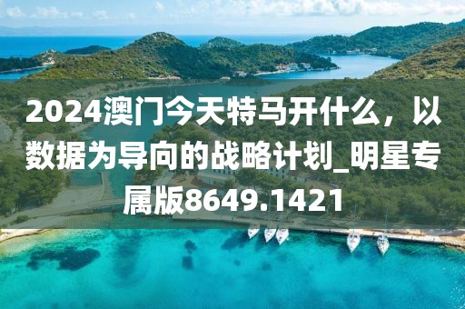 2024澳门今天特马开什么，以数据为导向的战略计划_明星专属版8649.1421