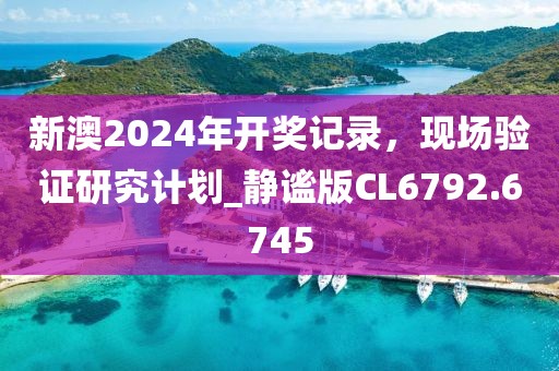 新澳2024年开奖记录，现场验证研究计划_静谧版CL6792.6745