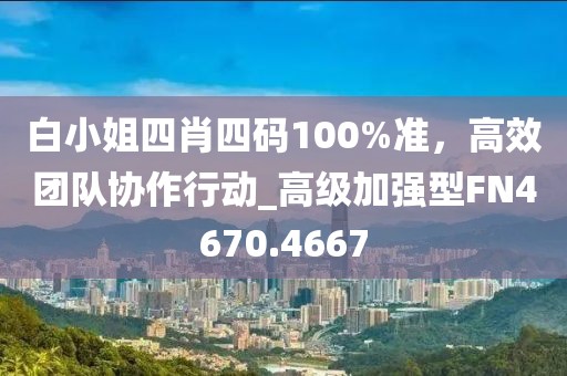 白小姐四肖四码100%准，高效团队协作行动_高级加强型FN4670.4667