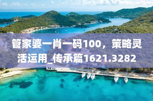 管家婆一肖一码100，策略灵活运用_传承篇1621.3282