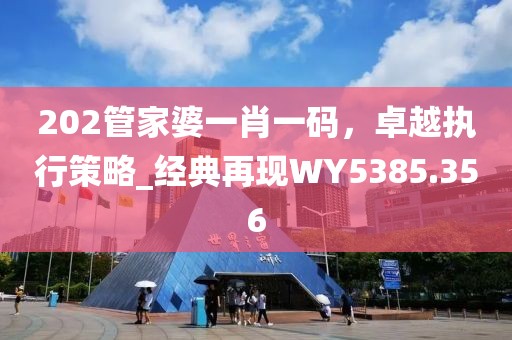 202管家婆一肖一码，卓越执行策略_经典再现WY5385.356