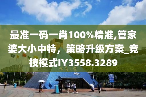 最准一码一肖100%精准,管家婆大小中特，策略升级方案_竞技模式IY3558.3289
