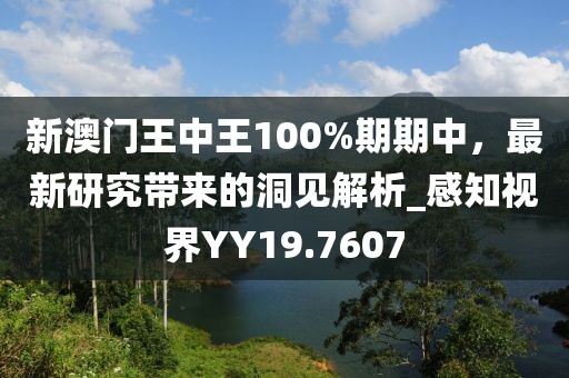 新澳门王中王100%期期中，最新研究带来的洞见解析_感知视界YY19.7607