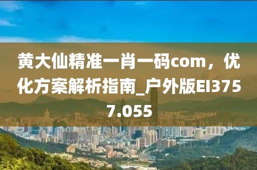 黄大仙精准一肖一码com，优化方案解析指南_户外版EI3757.055